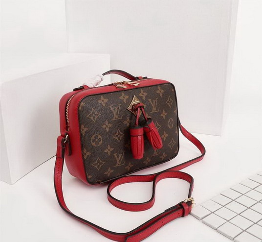 Lu bags 2020-10-28-462